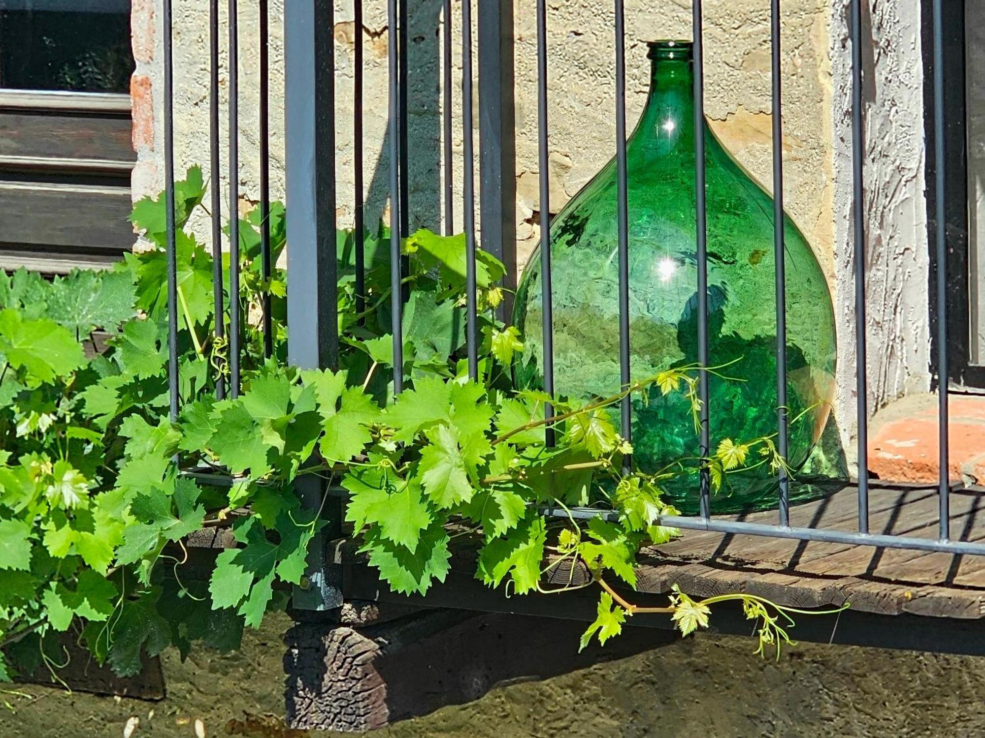 Bed and Breakfast Cascina Il Sogno Cossano Belbo Exterior foto